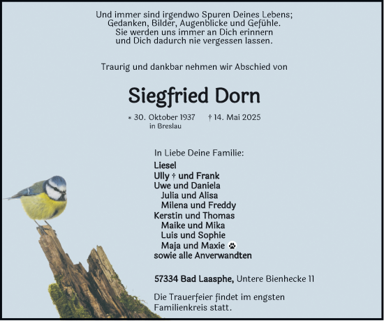 Traueranzeige von Siegfried Dorn von Tageszeitung