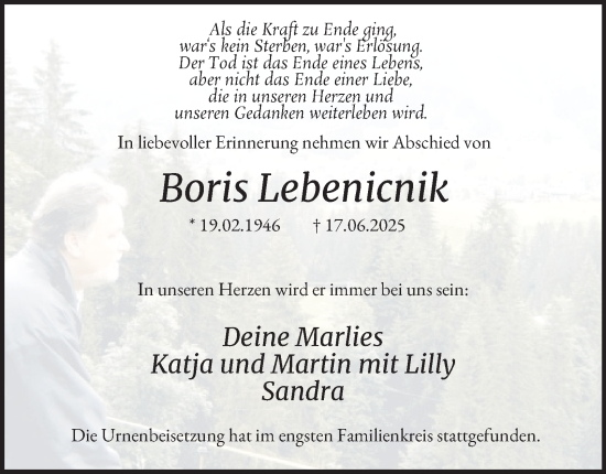 Traueranzeige von Boris Lebenicnik von Tageszeitung