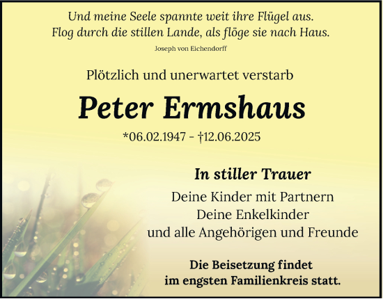 Traueranzeige von Peter Ermshaus von Tageszeitung