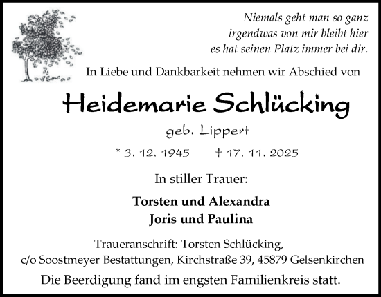 Traueranzeige von Heidemarie Schlücking von Tageszeitung