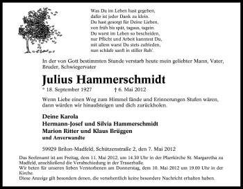 Traueranzeige von Julius Hammerschmidt von Tageszeitung