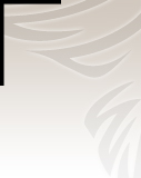 Profilbild Siegrid Schwarz